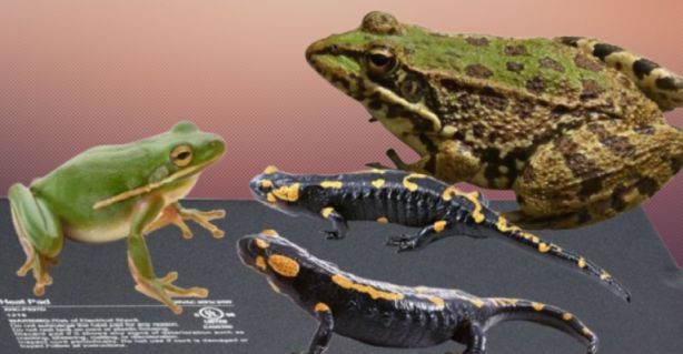 topná folie do terária